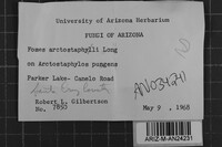 Fomes arctostaphyli image