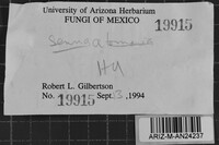 Image Associated With the Occurrence