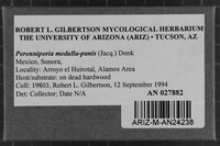 Image Associated With the Occurrence