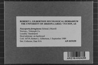 Image Associated With the Occurrence