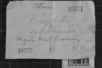 Image Associated With the Occurrence