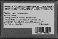 Image Associated With the Occurrence