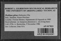 Image Associated With the Occurrence