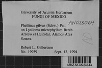 Image Associated With the Occurrence