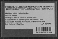 Image Associated With the Occurrence