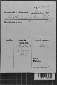 Image Associated With the Occurrence