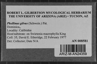 Image Associated With the Occurrence