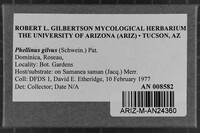 Image Associated With the Occurrence