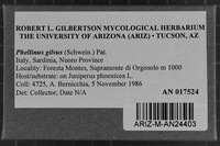 Image Associated With the Occurrence