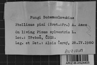 Image Associated With the Occurrence