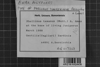 Image Associated With the Occurrence