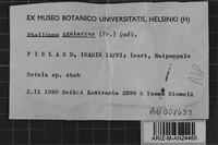 Image Associated With the Occurrence