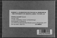 Phellinus lundellii image