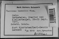 Phellinus lundellii image