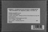 Phellinus lundellii image