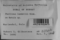 Phellinus lundellii image