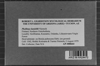 Phellinus lundellii image