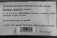 Image Associated With the Occurrence