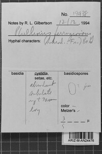 Image Associated With the Occurrence