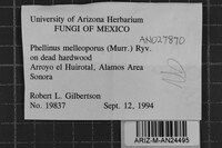 Image Associated With the Occurrence