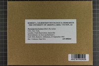 Image Associated With the Occurrence