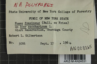 Image Associated With the Occurrence