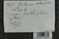 Fulvifomes melleoporus image