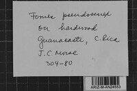 Image Associated With the Occurrence