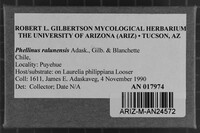 Image Associated With the Occurrence