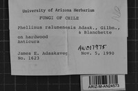 Image Associated With the Occurrence