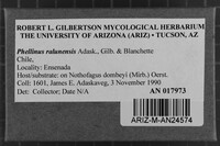 Image Associated With the Occurrence