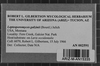 Leptosporomyces galzinii image
