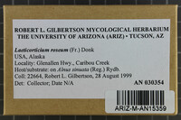 Corticium roseum image