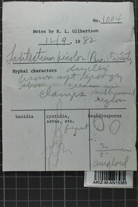 Laxitextum bicolor image