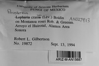 Image Associated With the Occurrence