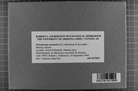 Image Associated With the Occurrence