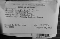 Image Associated With the Occurrence