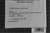 Image Associated With the Occurrence