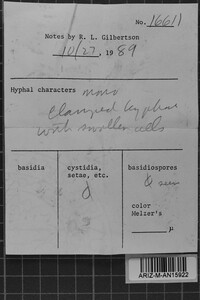 Image Associated With the Occurrence