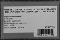 Image Associated With the Occurrence