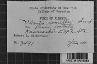 Image Associated With the Occurrence