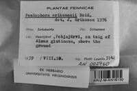 Image Associated With the Occurrence