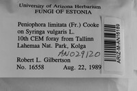 Image Associated With the Occurrence