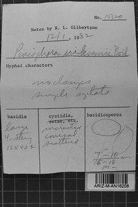 Image Associated With the Occurrence