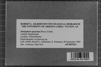 Image Associated With the Occurrence