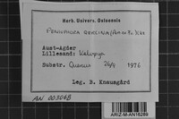 Image Associated With the Occurrence