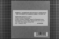 Image Associated With the Occurrence