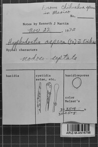 Image Associated With the Occurrence