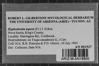 Image Associated With the Occurrence