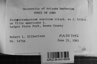 Image Associated With the Occurrence